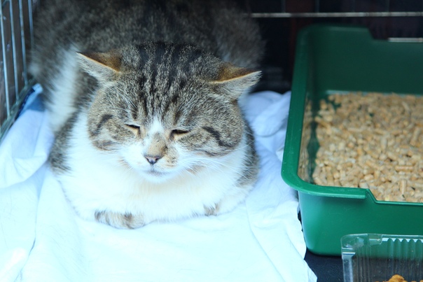 B1247E05-C34C-4430-9119-B60CD871D2C8