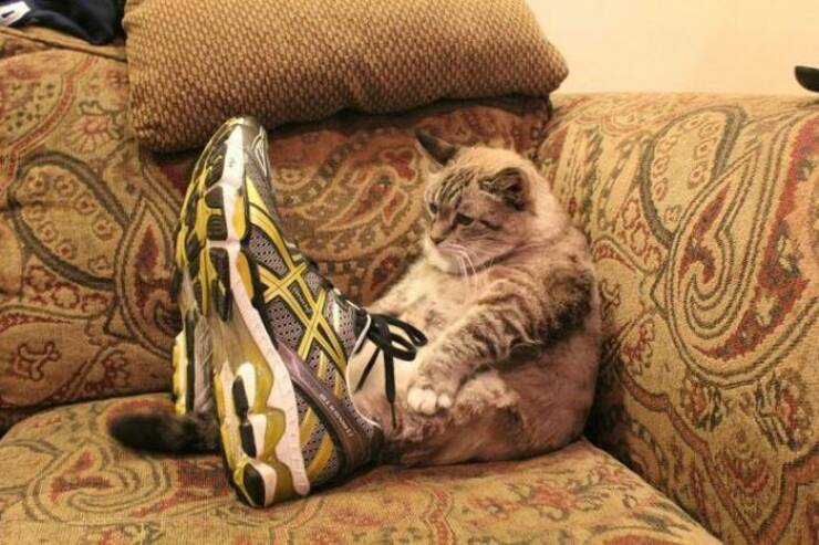 daily-picdump-6-1.jpg