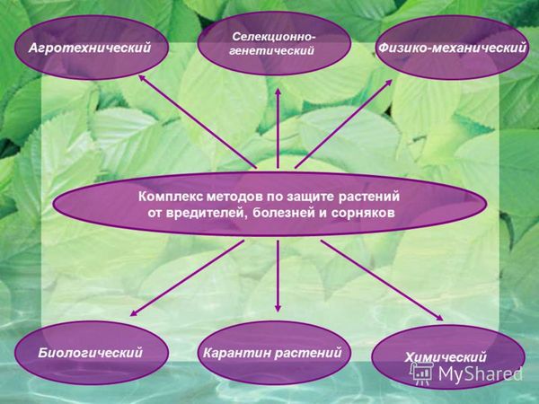Гигиена почвы презентация - Basanova.ru