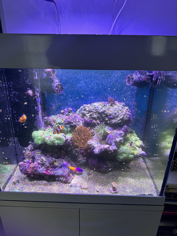 B485A42A-F2B2-4F31-914A-E332DA0128F9