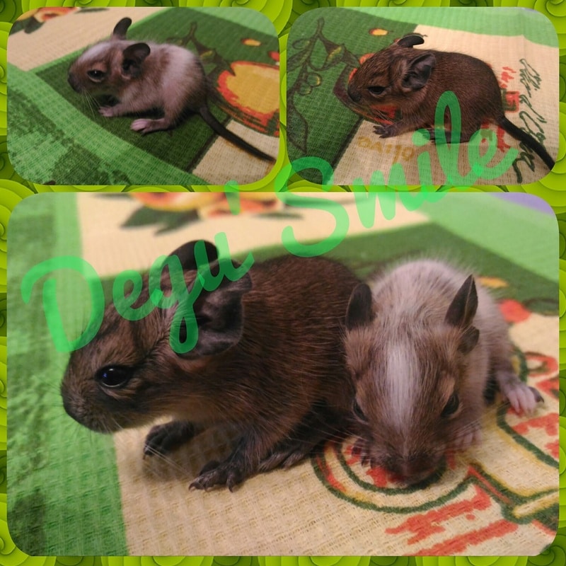 IMG_20170222_232423_595