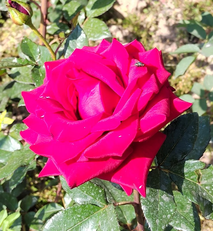 https://i.postimg.cc/PxN9f1Dv/16-IMG-20230424-092920.jpg