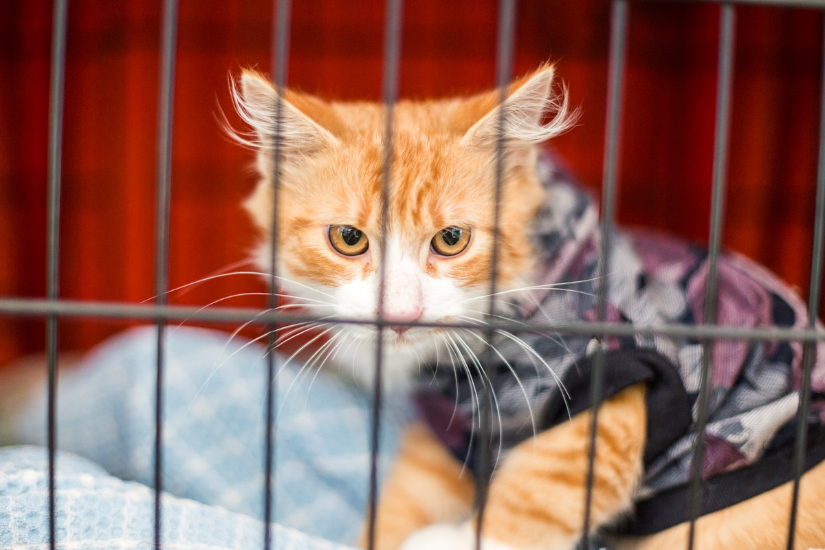 E5F34994-8594-4AF1-BB3B-14F41913F6F9