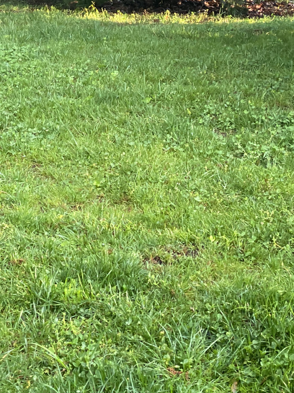 B43A79AD-86C8-4690-8760-9A1AAD684799