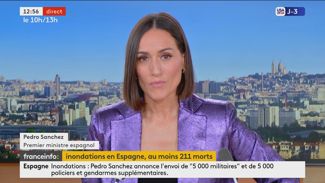 Le 10h-13h 2ème partie (Franceinfo)_2024_11_02_10_50_91.ts_snapshot_01.06.49.934