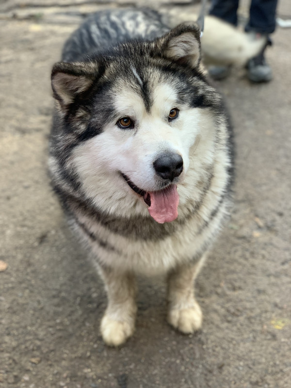 373AD3D2-D296-4984-BE66-C3564418979B