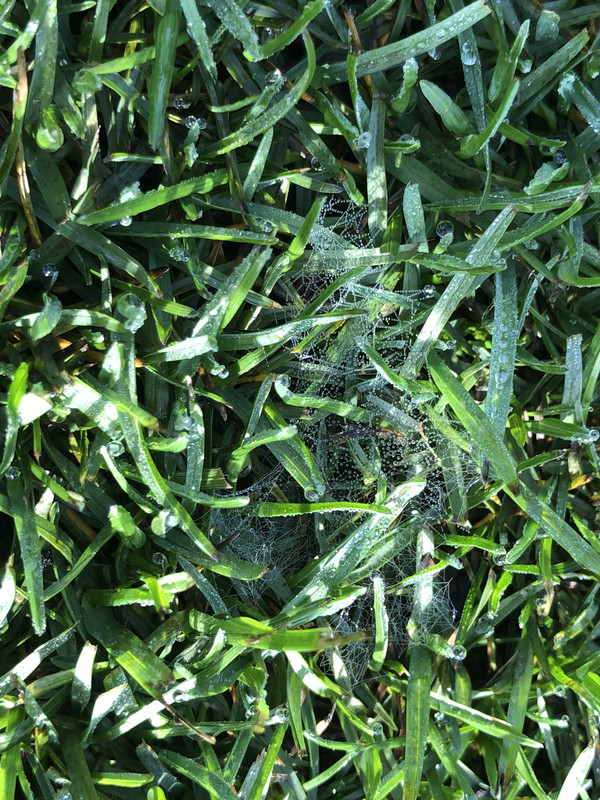 EC5D1D73-AFC8-42AC-B9DE-58E845DF0D02