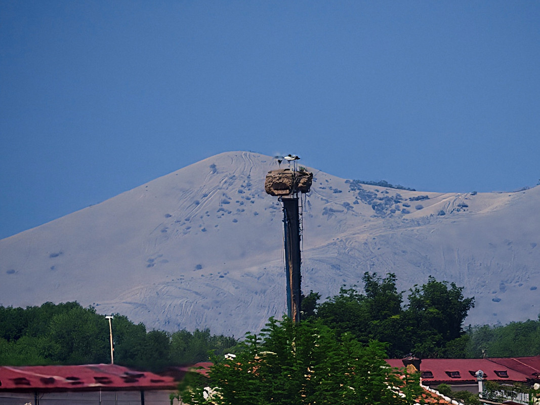 IMG_20250702_102623_ENHANCE002_COVER
