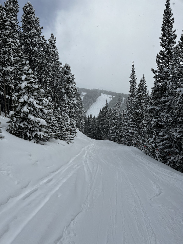 8D3B27C0-8F10-400E-A0F5-0517B52098C2