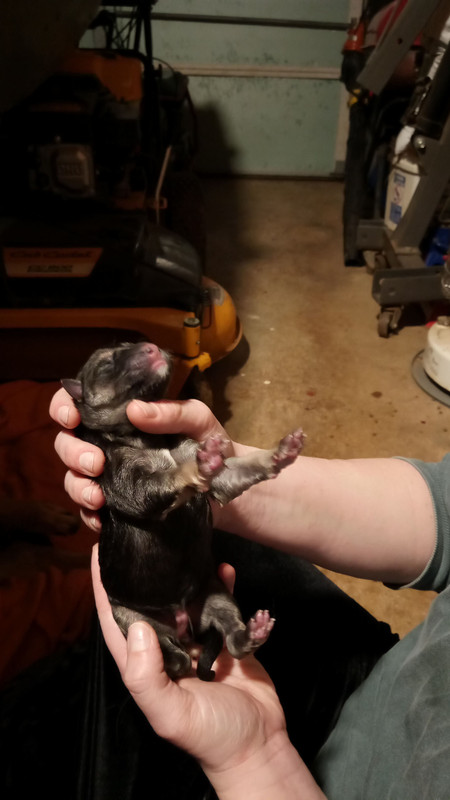 942FB46F-574D-4617-BFEE-CD1322BF5368