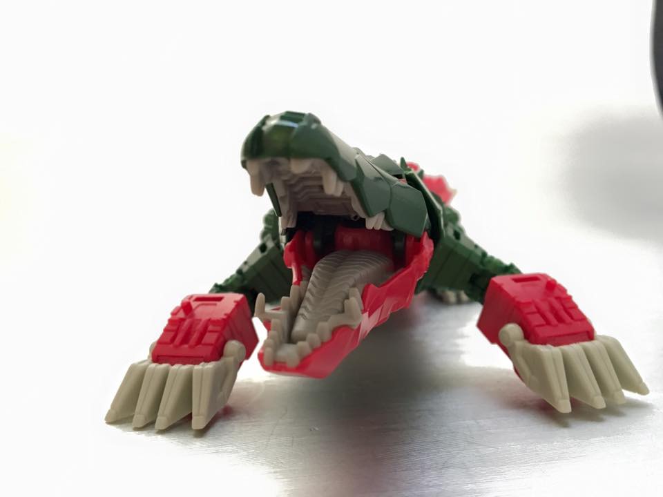 13512219_876405375820202_1733116853694992447_n