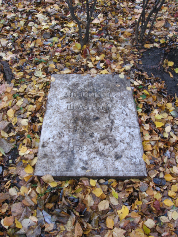 Надгробие_Ольги_Шапир