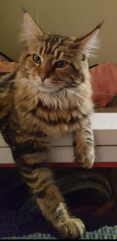 WhatsApp Image 2022-07-18 at 11.09.02 (2)