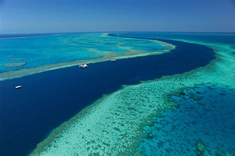 The great barrier reef australia