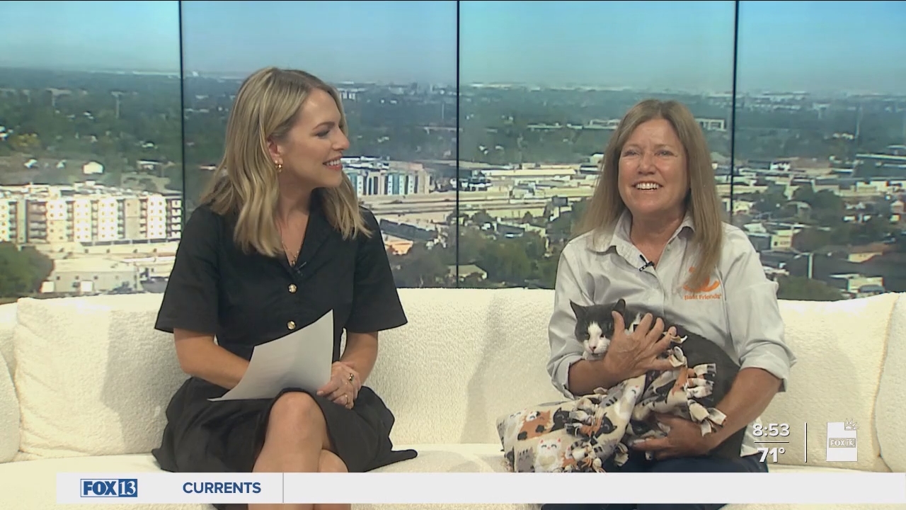 06.09 - 15.00.00 - FOX13 News  Good Day Utah 8AM  ᴺᵉʷ. Utah news, wea....ts_snapshot_55.08.869