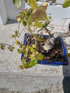 WhatsApp Image 2022-06-03 at 6.34.06 PM (1)