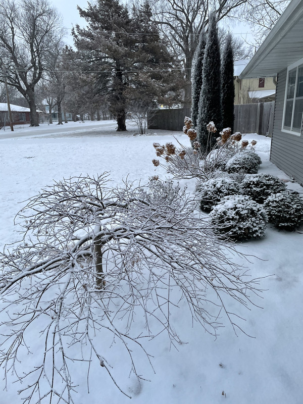 976A3CC9-9DBD-4012-9F4E-BC5A0B7016ED