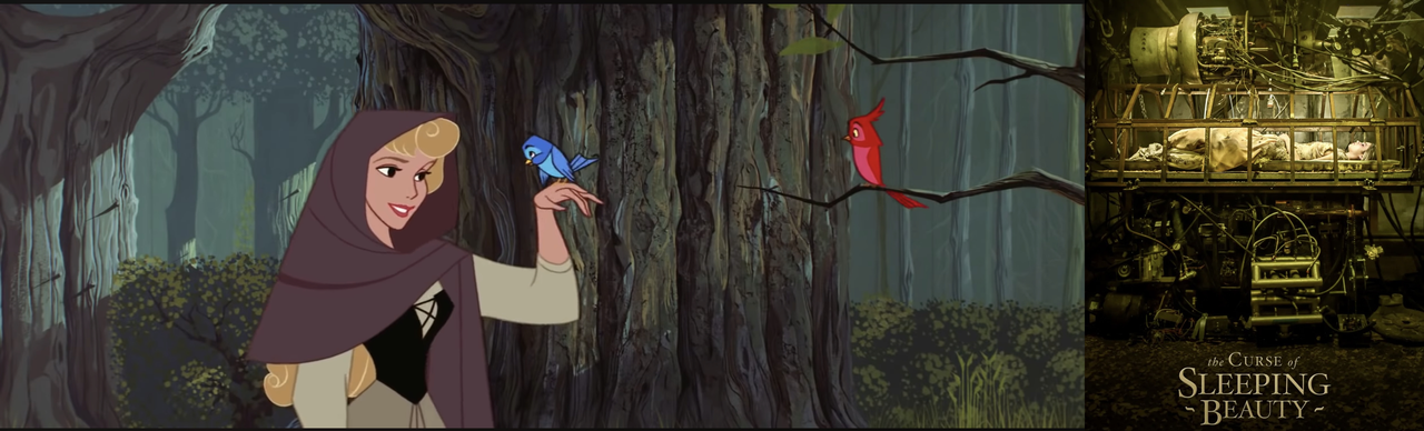 BE7-FB04-F-82-A4-4-F3-D-9124-A322793-D54