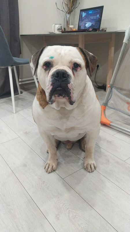 01FF3A7C-699B-4482-A2BF-3AFEECB59F52