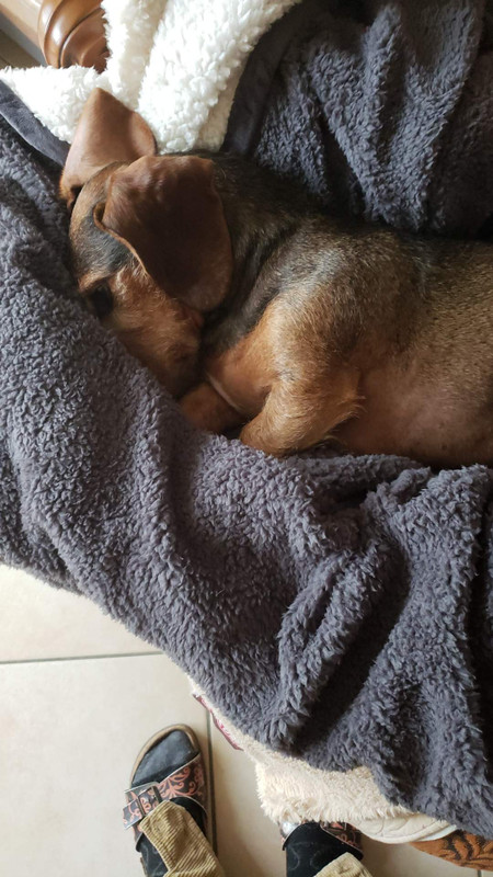 [Image: Resized-IMG-20221214-WA0000.jpg]