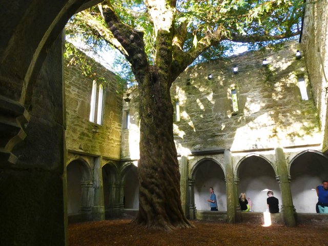 10 días por Irlanda en verano de 2024 - Blogs de Irlanda - DÍA 5 – Castillo Blarney – Parque Nacional Killarney (25)