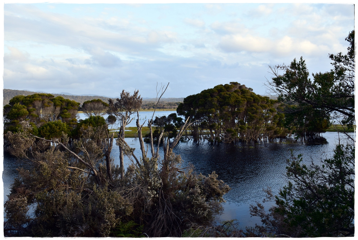 Narawntapu National Park - Australia (II): Recorriendo Tasmania (4)