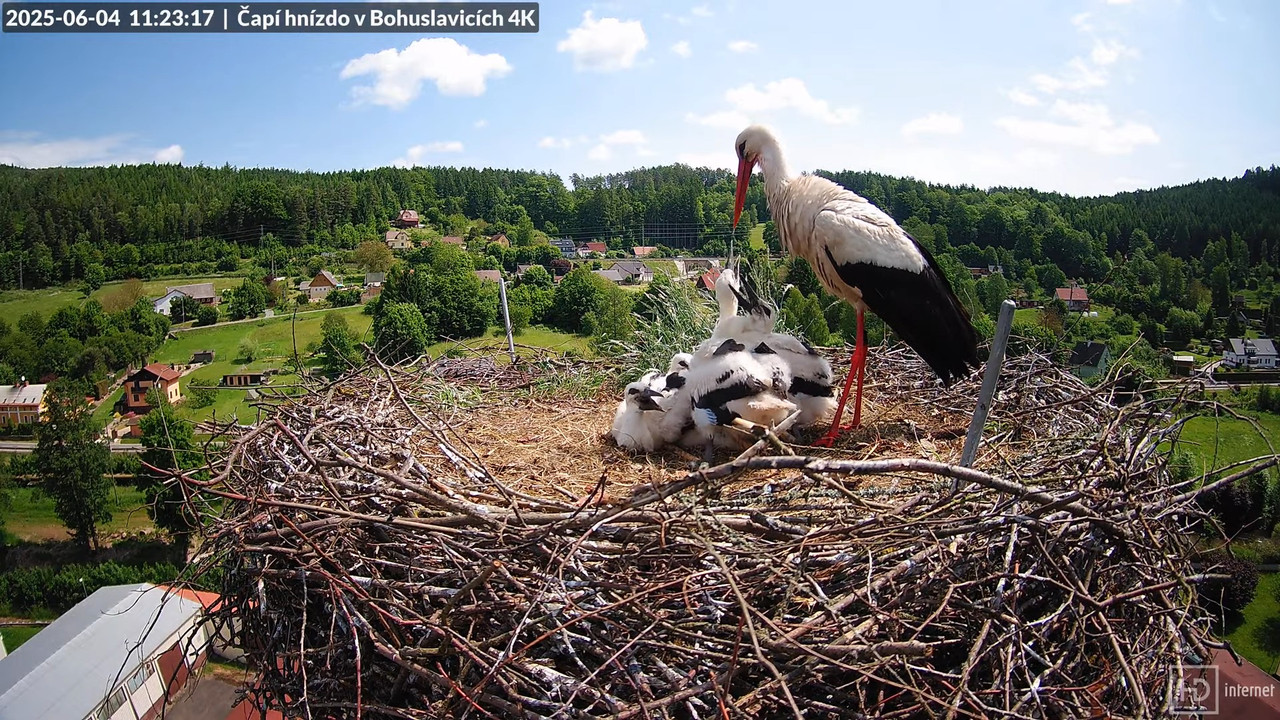 Tiešraide no KARA uzņēmuma stārķu skursteņa Bohuslavicē netālu no Trutnovas 7-4-15 screenshot