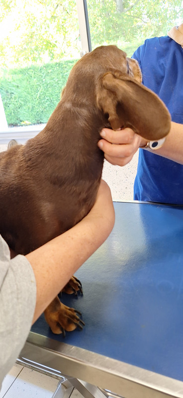 [Image: 20251014-173210.jpg]