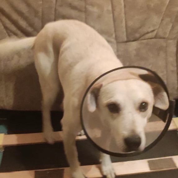 75578B0C-8C34-412C-B985-0154714993C0