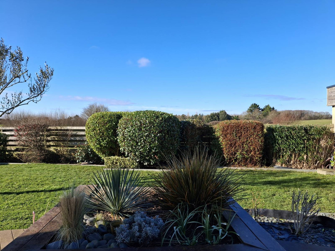 Jardin méditerranéen