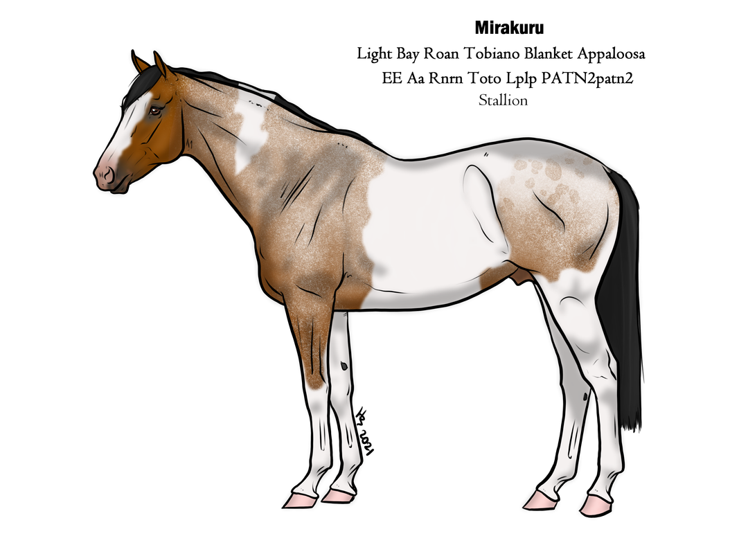 mirakuru-stallion.png