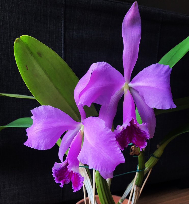 8318442B-CA94-4762-8BBA-25EAA02E7F24