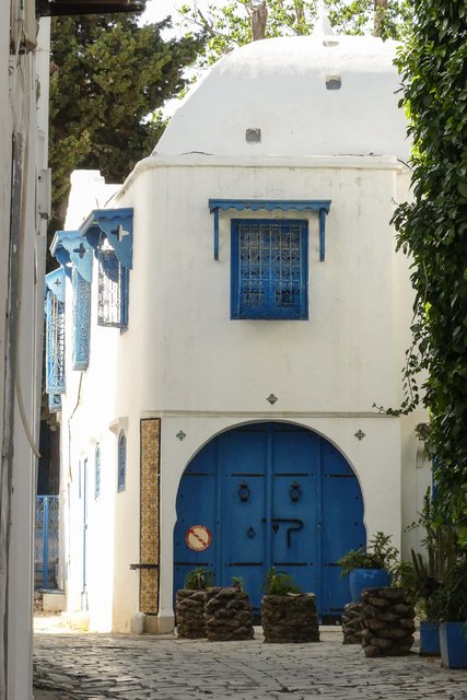Una semana en Túnez por libre - Blogs de Tunez - Cartago y Sidi Bou Said (14)