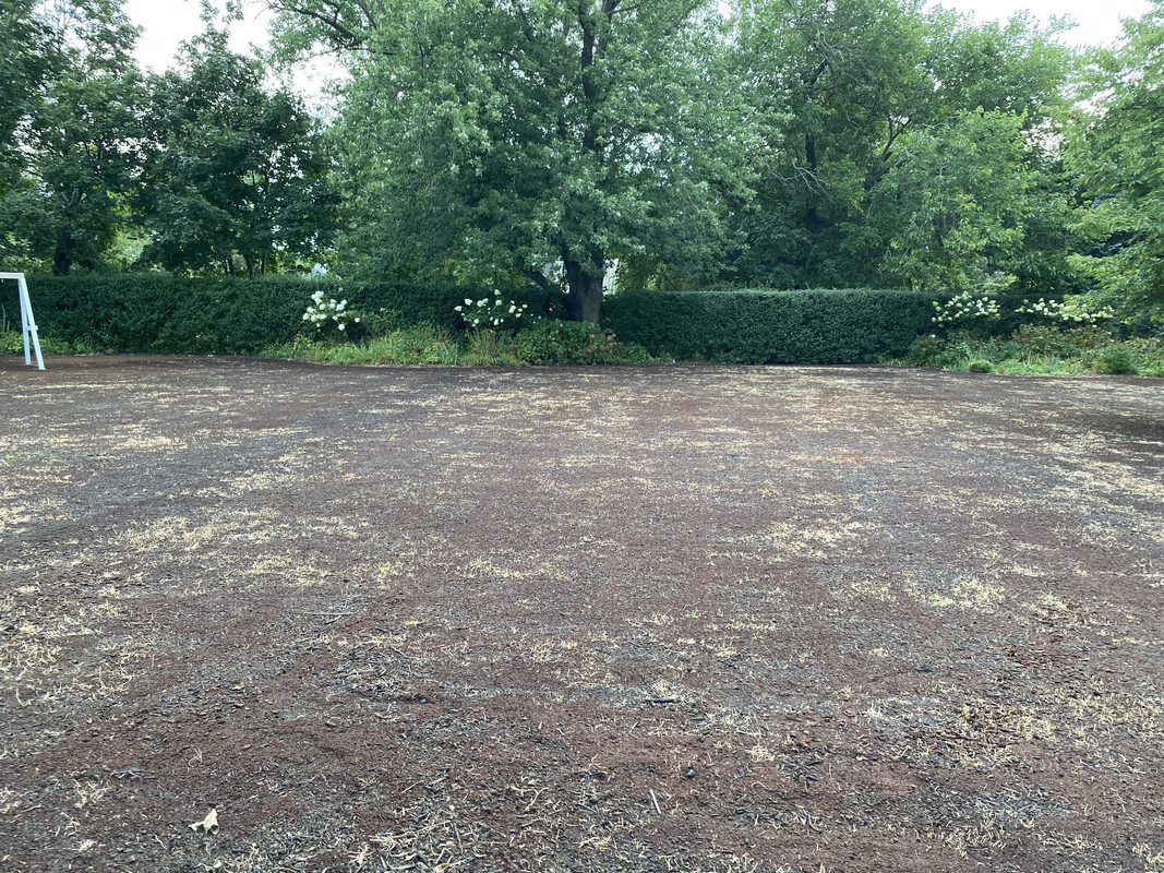 A8969BBC-DDB4-4334-8D25-D58AABE43AB8