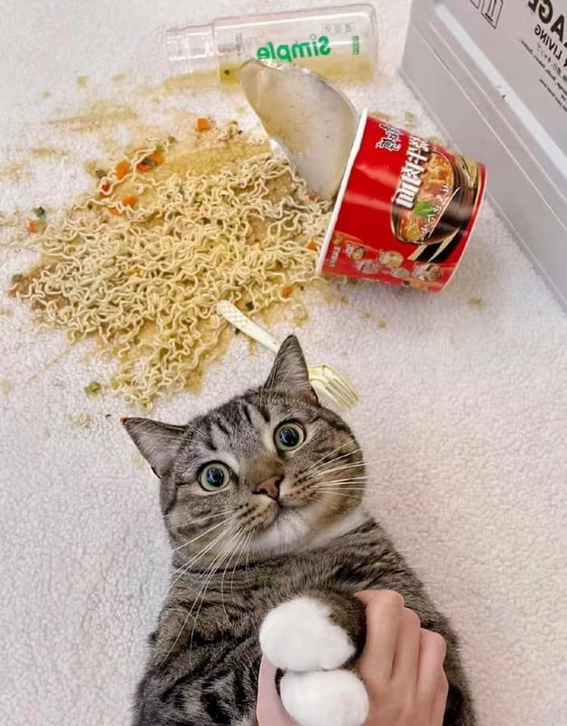 Test-Image.jpg