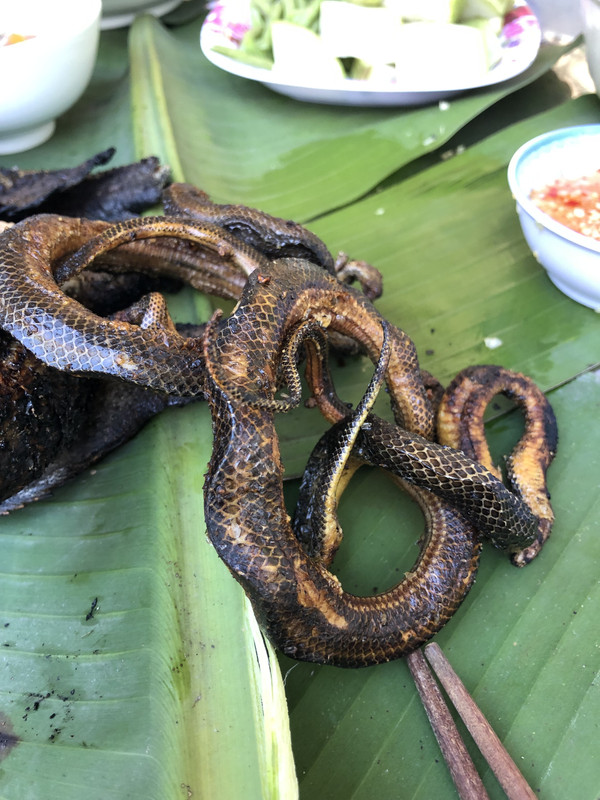 B497B5A6-32A6-4B86-A139-9D801AA965D5