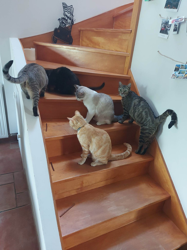 received_1292894228321962