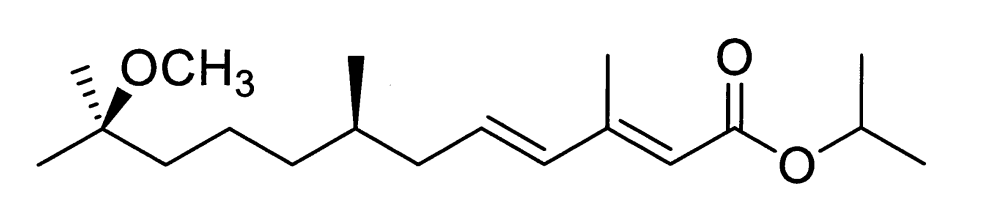 Capture d'écran 2023-12-05 172815