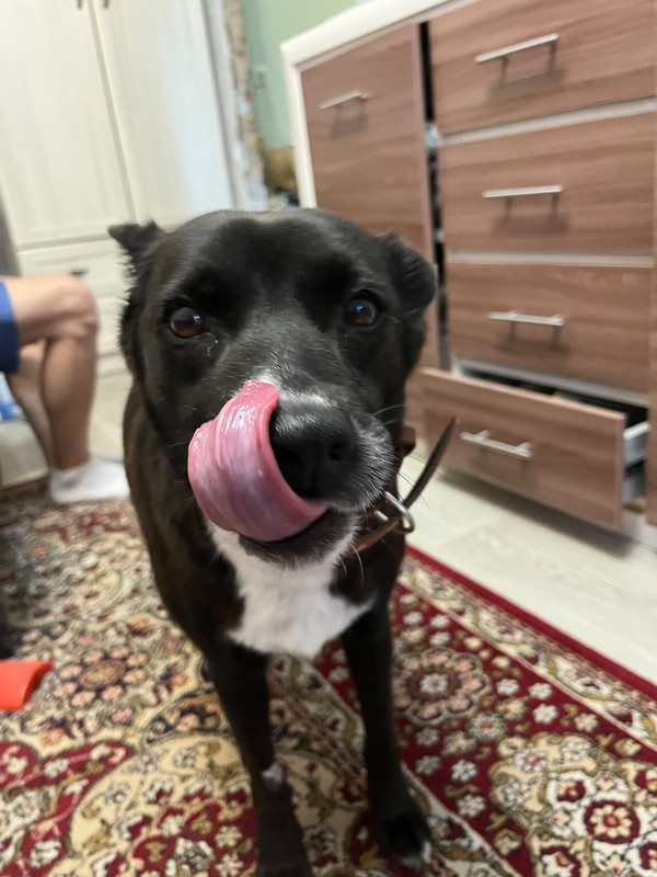 399260F0-9FF1-4079-968E-83F5F735D424