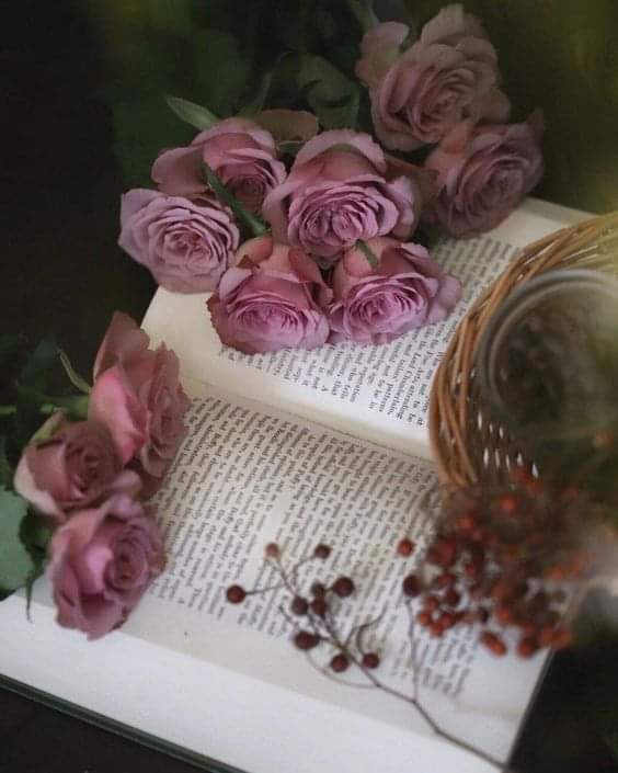 438271655_820247966612815_4124917517282872743_n