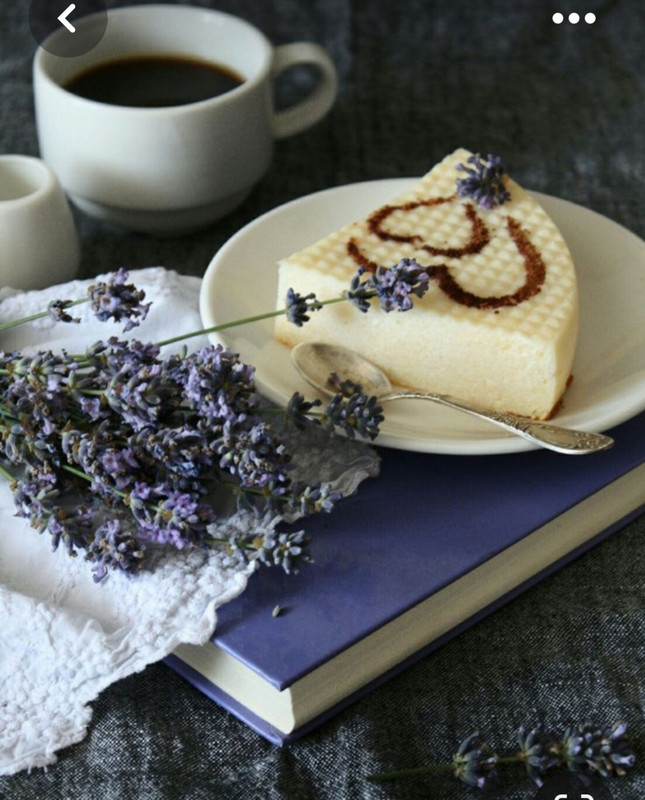 Screenshot_20230731_235333_Pinterest