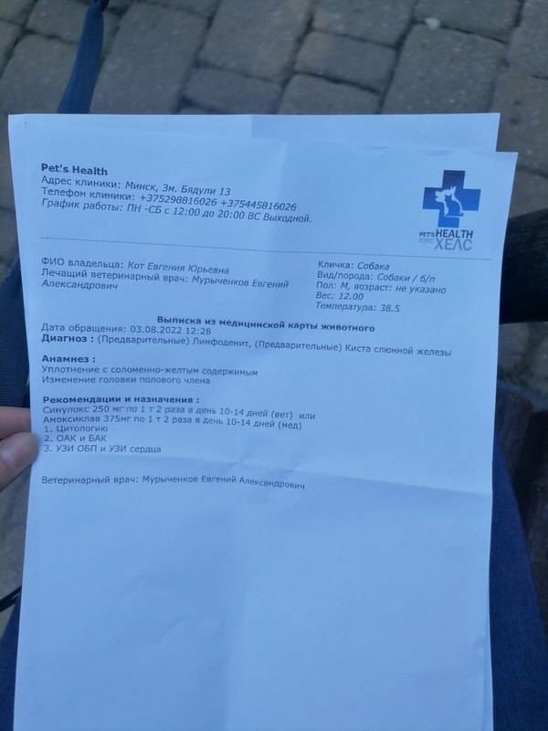 EBCD7578-FFC6-47D7-8EDD-25AA166F8F4C