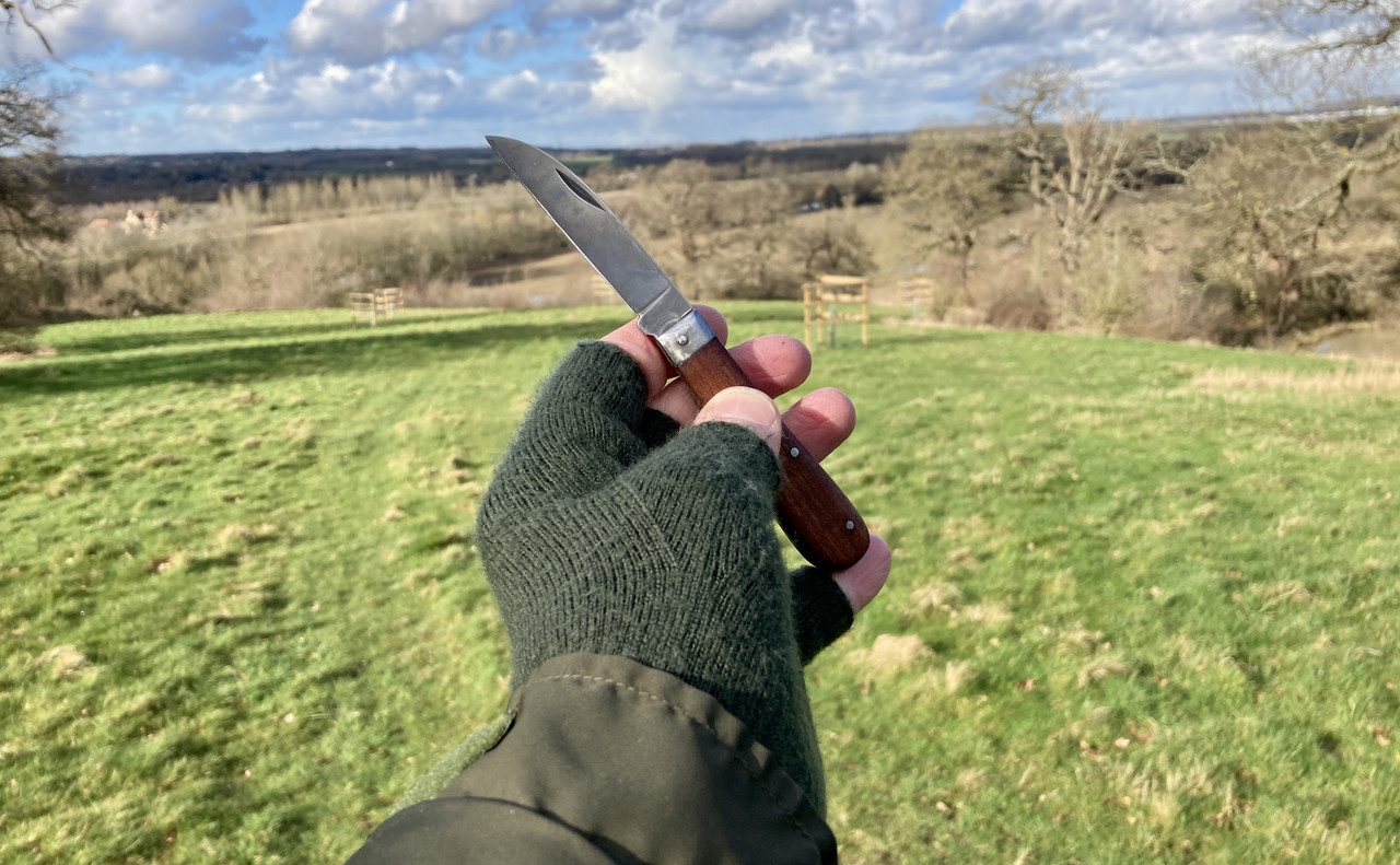 256F31C8-CFD7-4379-A7EF-CA683123278F