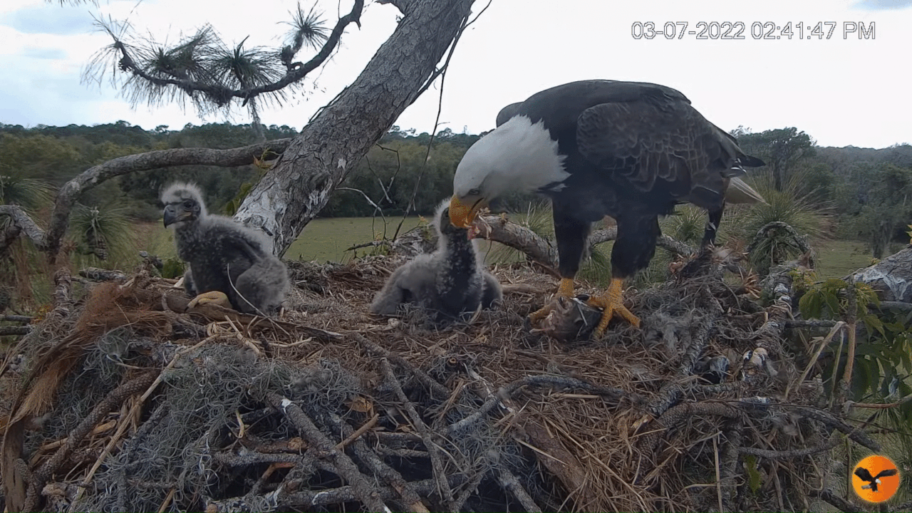 Webp.net-gifmaker (4)