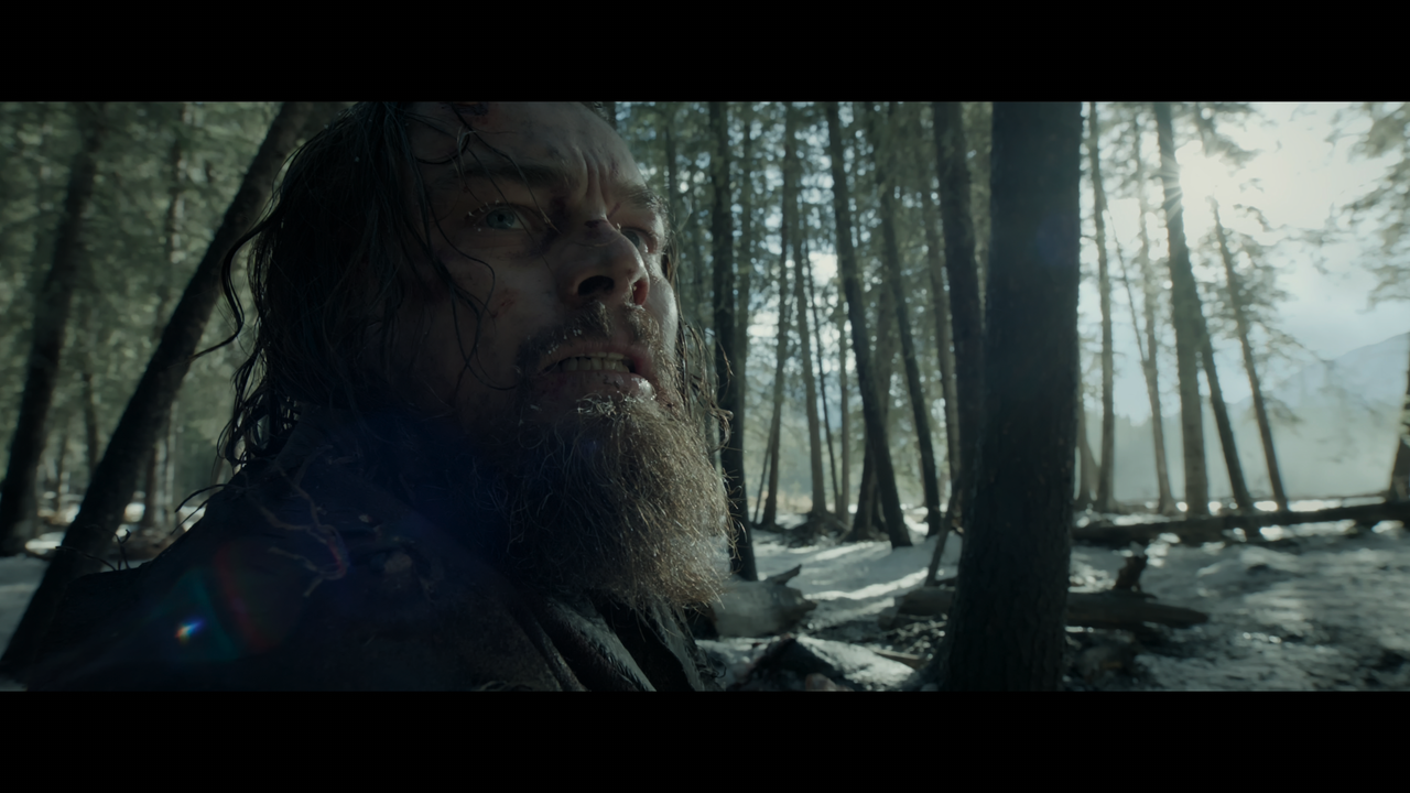 The.Revenant.2015.2160p.UHD.BDRemux.TrueHD.Atmos.HDR.DoVi.Hybrid.P8.by.DVT.mkv_snapshot_01.02.15_[20