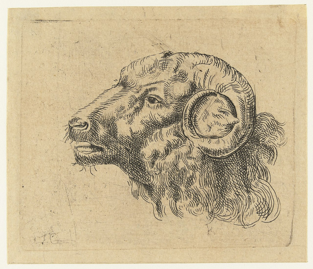 A drawing of a ram's head.