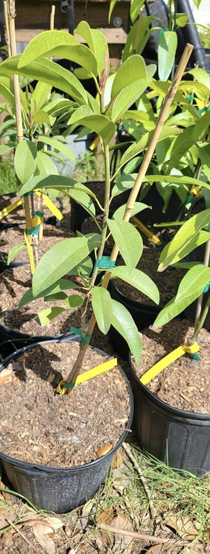 7897BE06-7E5A-4C96-AFD5-B6F7F8F543A0