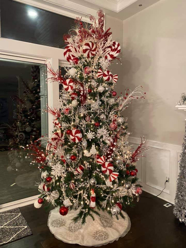 FB_IMG_1606505042041