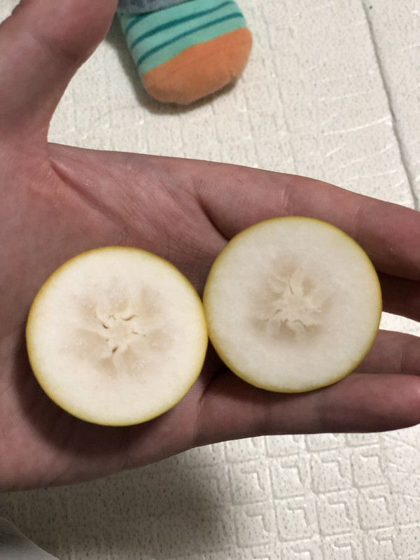 微信图片_20241029015007