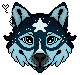 Happy-Wolf-HS-starwolfs-WPG.png